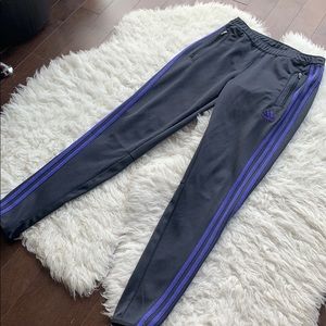 Adidas Climacool Purple Striped Track Pants
